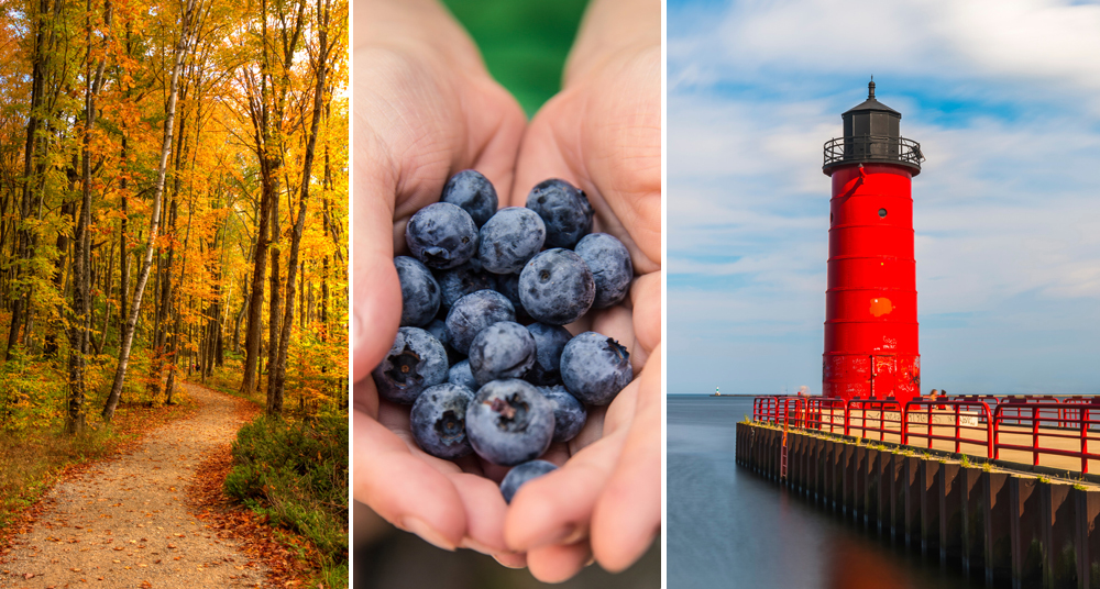 Things to Do in South Haven, Michigan Indian Trails